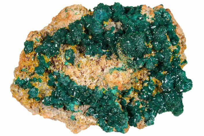 Gemmy Dioptase and Mimetite on Dolomite - Ntola Mine, Congo #130500